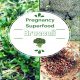 Pregnancy Superfood Broccoli