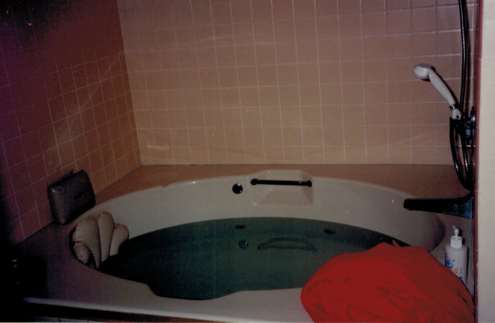 Waterbirth tub