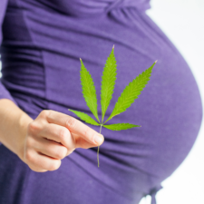 pregnant-woman-holding-a-marijuana-leaf