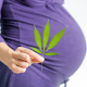 pregnant-woman-holding-a-marijuana-leaf