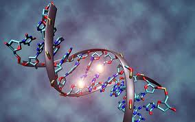 Epiginetics DNA